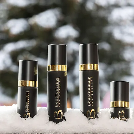 Hotel Grandes Alpes Courchevel